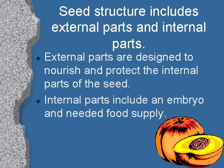 Seed structure includes external parts and internal parts. l l External parts are designed