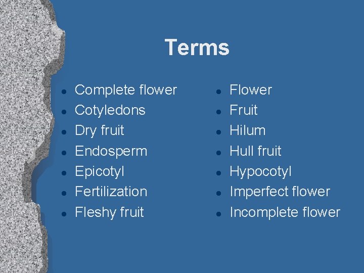 Terms l l l l Complete flower Cotyledons Dry fruit Endosperm Epicotyl Fertilization Fleshy