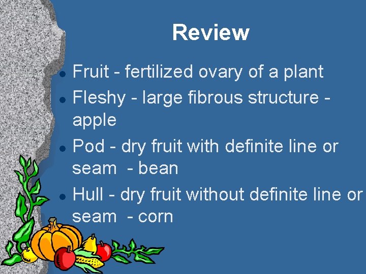 Review l l Fruit - fertilized ovary of a plant Fleshy - large fibrous