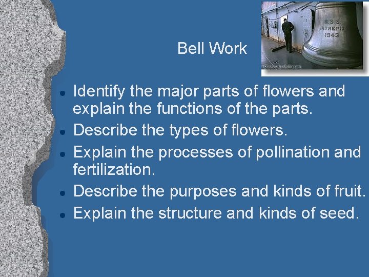 Bell Work l l l Identify the major parts of flowers and explain the