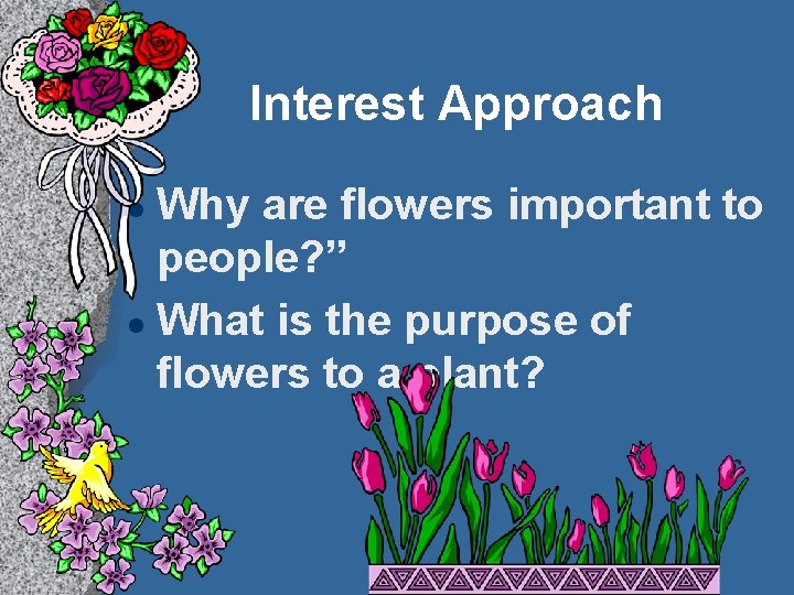 Interest Approach Why are flowers important to people? ” l What is the purpose