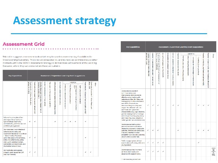 Assessment strategy 