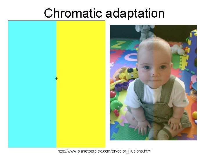 Chromatic adaptation http: //www. planetperplex. com/en/color_illusions. html 