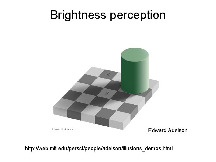 Brightness perception Edward Adelson http: //web. mit. edu/persci/people/adelson/illusions_demos. html 