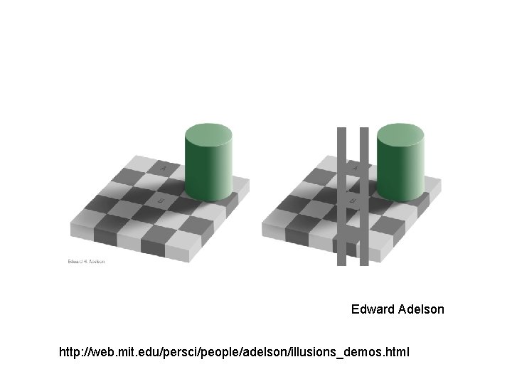 Edward Adelson http: //web. mit. edu/persci/people/adelson/illusions_demos. html 