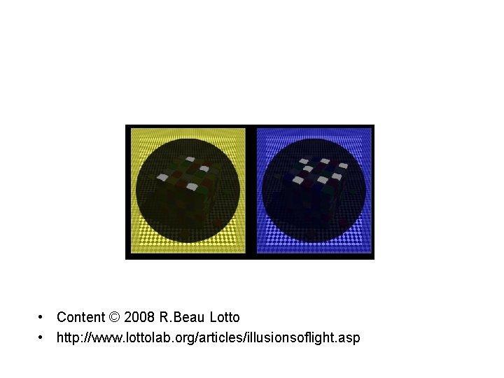  • Content © 2008 R. Beau Lotto • http: //www. lottolab. org/articles/illusionsoflight. asp