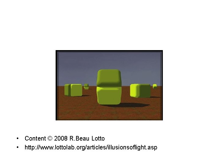  • Content © 2008 R. Beau Lotto • http: //www. lottolab. org/articles/illusionsoflight. asp