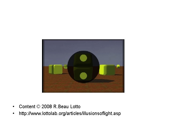  • Content © 2008 R. Beau Lotto • http: //www. lottolab. org/articles/illusionsoflight. asp