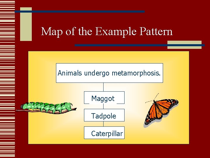 Map of the Example Pattern Animals undergo metamorphosis. Maggot Tadpole Caterpillar Map of the Example Pattern Animals undergo metamorphosis. Maggot Tadpole Caterpillar