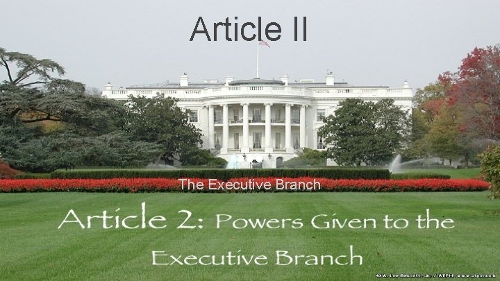 Article II The Executive Branch 