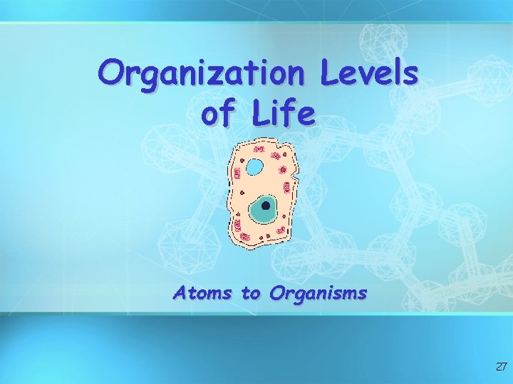 Organization Levels of Life Atoms to Organisms 27 