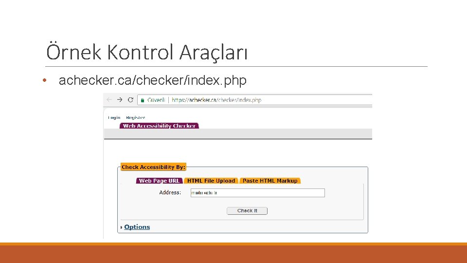 Örnek Kontrol Araçları • achecker. ca/checker/index. php 