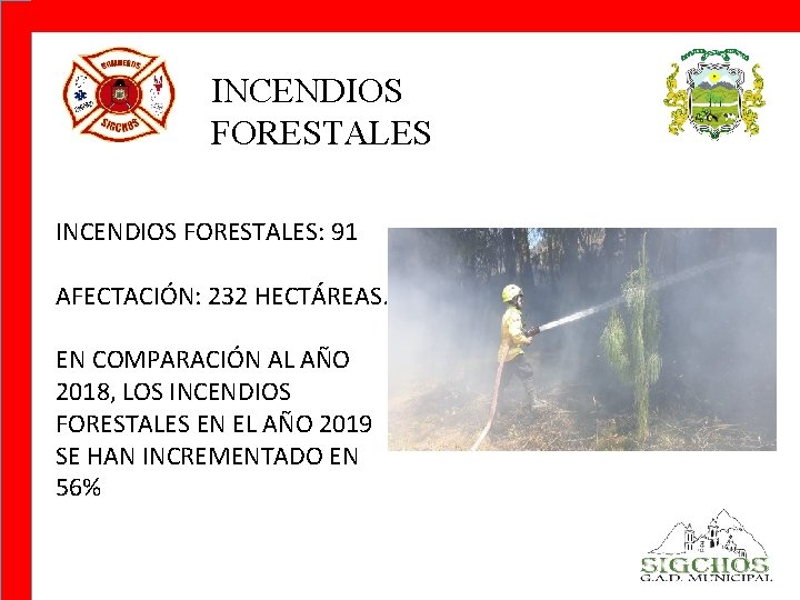 INCENDIOS FORESTALES: 91 AFECTACIÓN: 232 HECTÁREAS. EN COMPARACIÓN AL AÑO 2018, LOS INCENDIOS FORESTALES