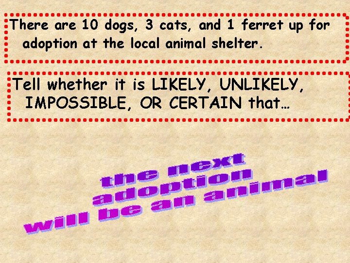 There are 10 dogs, 3 cats, and 1 ferret up for adoption at the