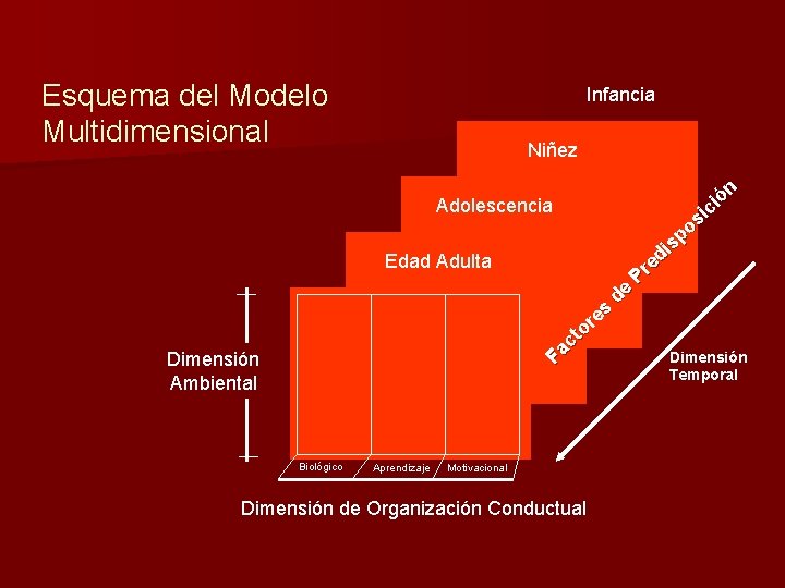 Esquema del Modelo Multidimensional Infancia Niñez Adolescencia Edad Adulta es r to c Fa