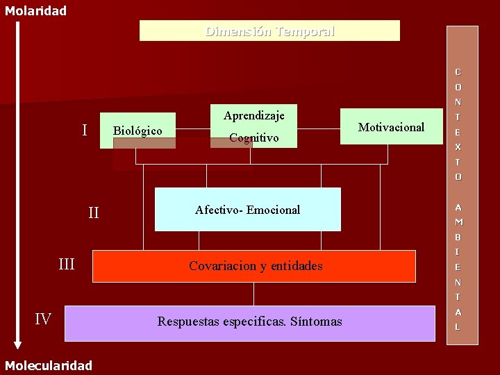 Molaridad Dimensión Temporal C O N Aprendizaje I Biológico Cognitivo Motivacional T E X