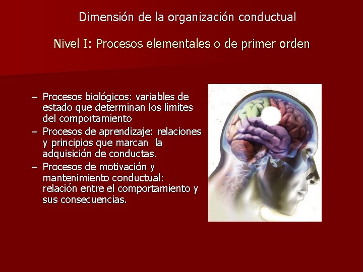 Dimensión de la organización conductual Nivel I: Procesos elementales o de primer orden –
