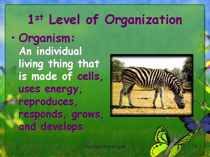 1 st Level of Organization • Organism: An individual living that is made of