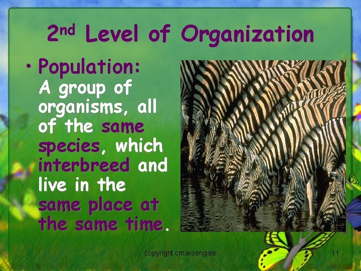 2 nd Level of Organization • Population: A group of organisms, all of the