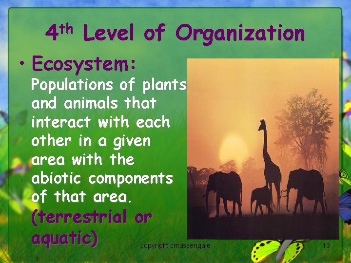 4 th Level of Organization • Ecosystem: Populations of plants and animals that interact