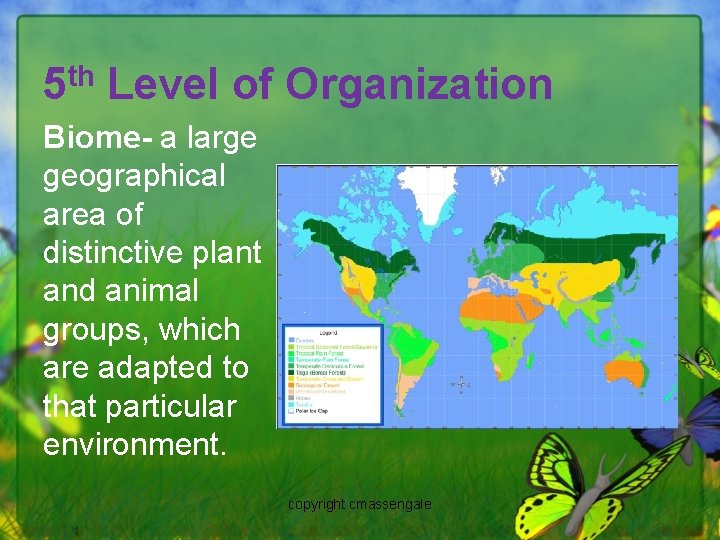 5 th Level of Organization Biome- a large geographical area of distinctive plant and