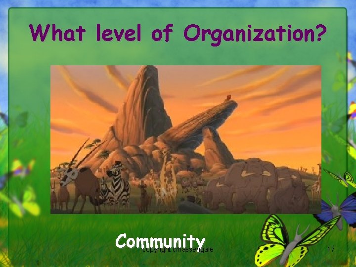 What level of Organization? Community copyright cmassengale 17 