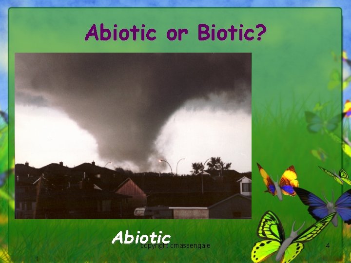 Abiotic or Biotic? Abiotic copyright cmassengale 4 