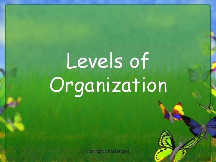 Levels of Organization copyright cmassengale 7 