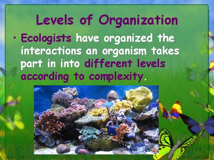 Levels of Organization • Ecologists have organized the interactions an organism takes part in