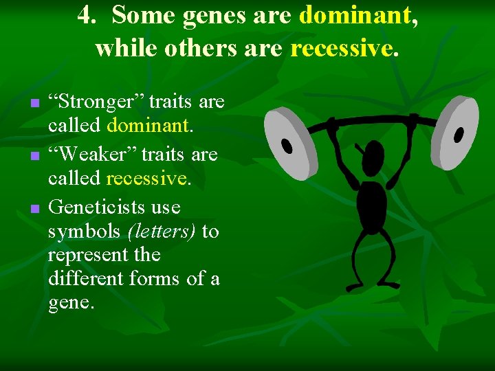 4. Some genes are dominant, while others are recessive. n n n “Stronger” traits