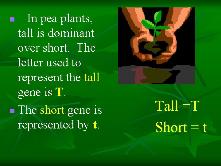 In pea plants, tall is dominant over short. The letter used to represent the