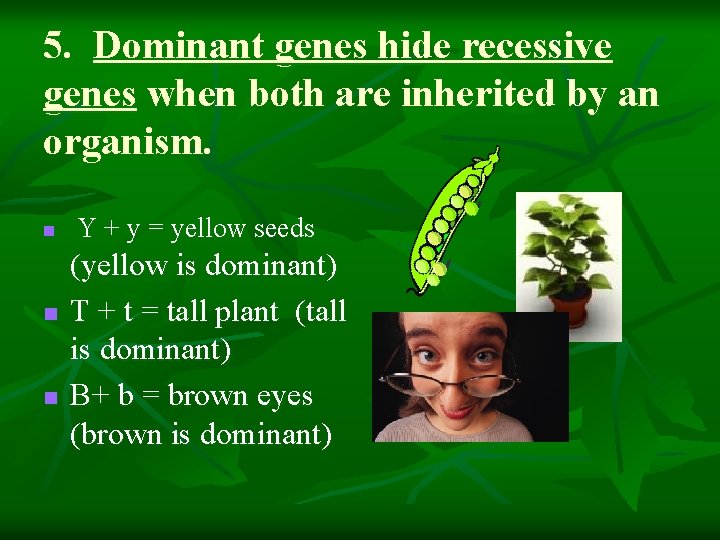 5. Dominant genes hide recessive genes when both are inherited by an organism. n