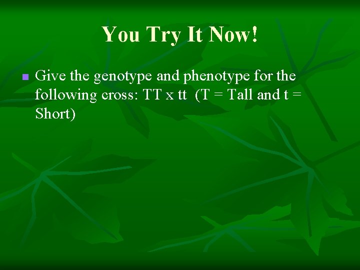 You Try It Now! n Give the genotype and phenotype for the following cross: