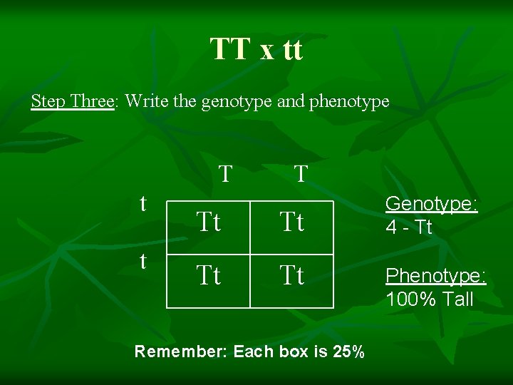 TT x tt Step Three: Write the genotype and phenotype T t t T