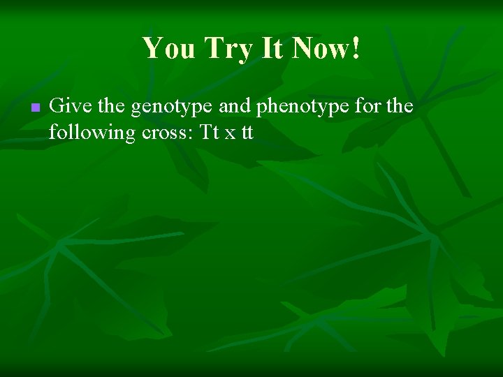 You Try It Now! n Give the genotype and phenotype for the following cross: