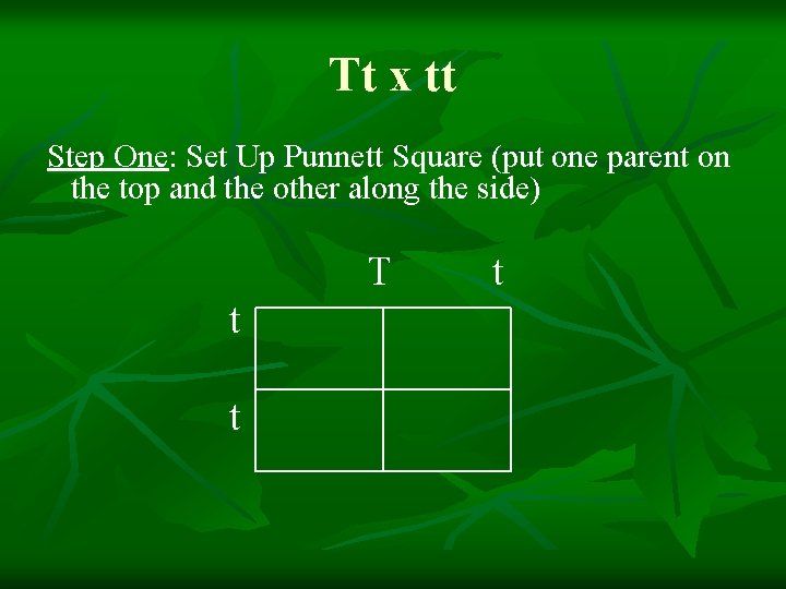 Tt x tt Step One: Set Up Punnett Square (put one parent on the