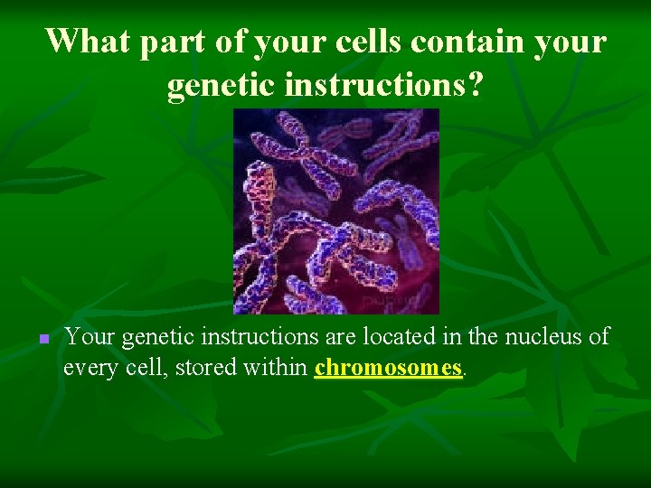What part of your cells contain your genetic instructions? n Your genetic instructions are