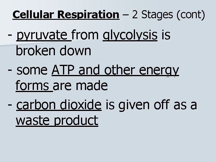 Cellular Respiration – 2 Stages (cont) - pyruvate from glycolysis is broken down -