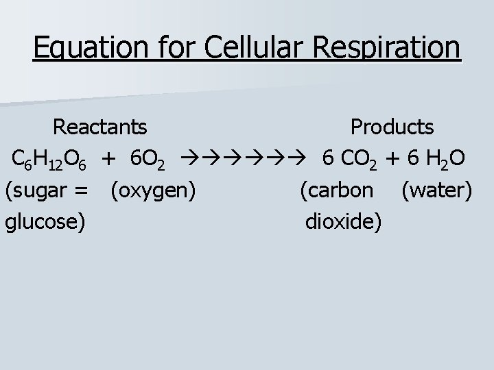 Equation for Cellular Respiration Reactants Products C 6 H 12 O 6 + 6