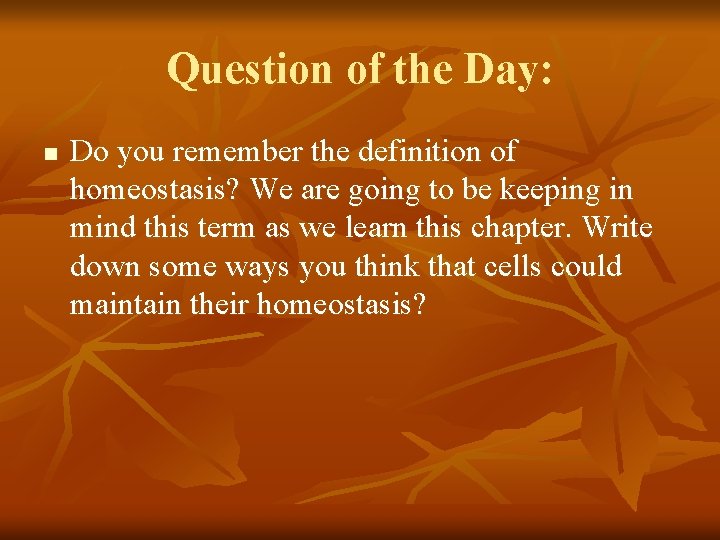 Question of the Day: n Do you remember the definition of homeostasis? We are