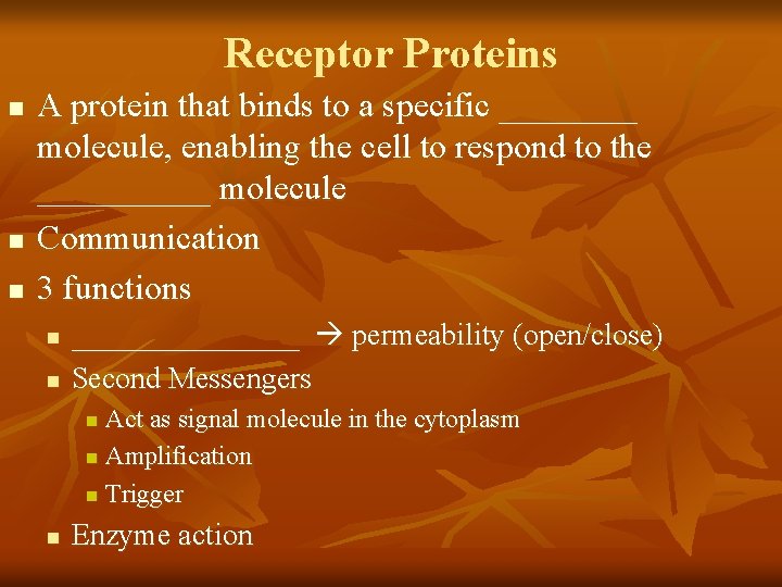 Receptor Proteins n n n A protein that binds to a specific ____ molecule,