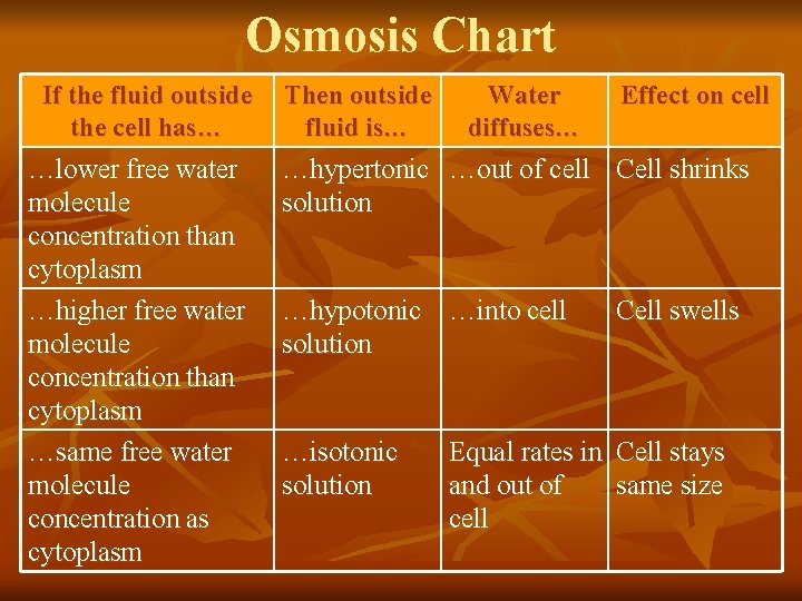 Osmosis Chart If the fluid outside the cell has… …lower free water molecule concentration