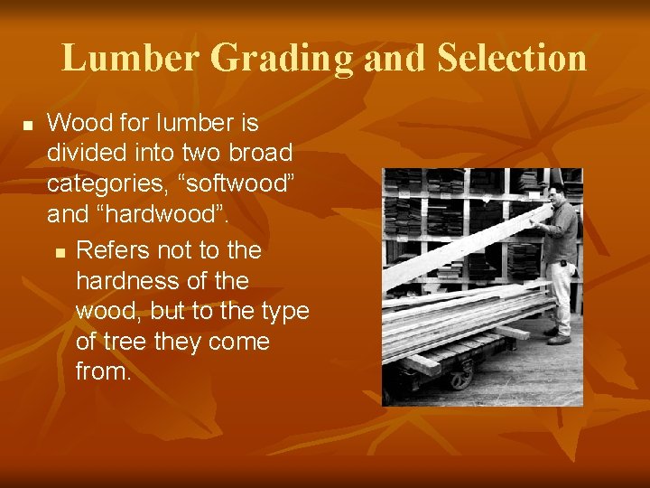 Lumber Grading Objectives n To understand the different