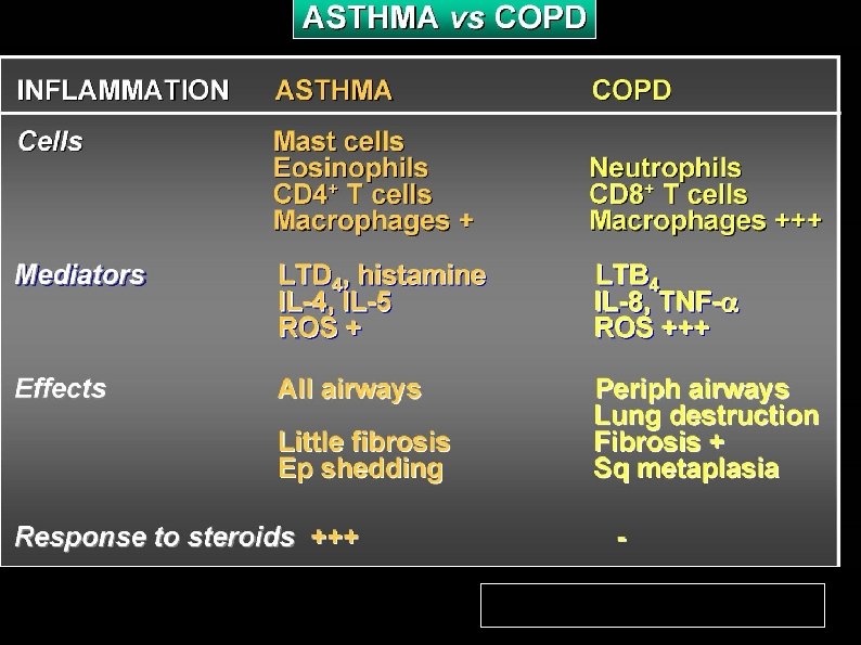 Professor Peter J. Barnes, MD National Heart and Lung Institute, London UK 