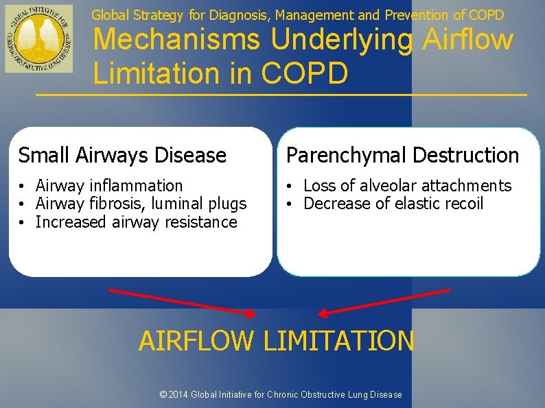 Global Strategy for Diagnosis, Management and Prevention of COPD Mechanisms Underlying Airflow Limitation in