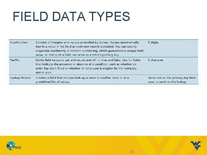 FIELD DATA TYPES 13 