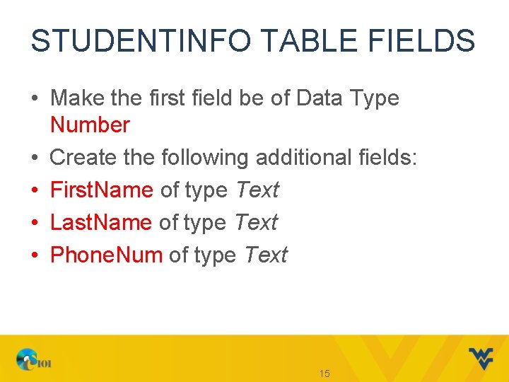 STUDENTINFO TABLE FIELDS • Make the first field be of Data Type Number •