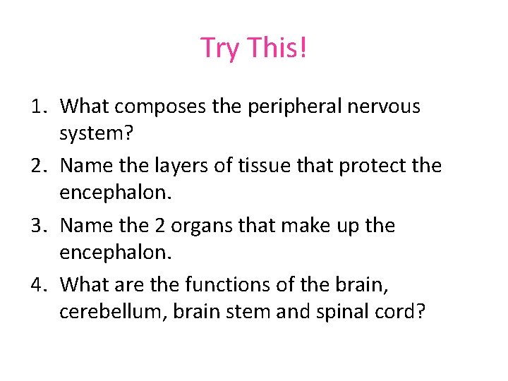 Try This! 1. What composes the peripheral nervous system? 2. Name the layers of