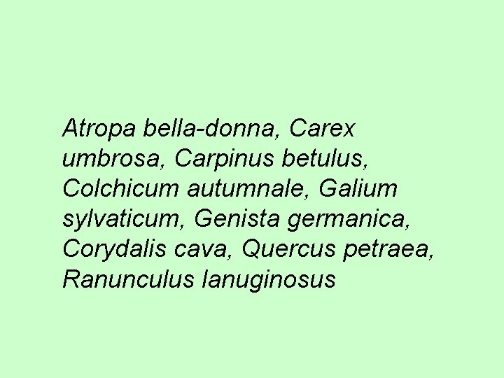 Atropa bella-donna, Carex umbrosa, Carpinus betulus, Colchicum autumnale, Galium sylvaticum, Genista germanica, Corydalis cava,