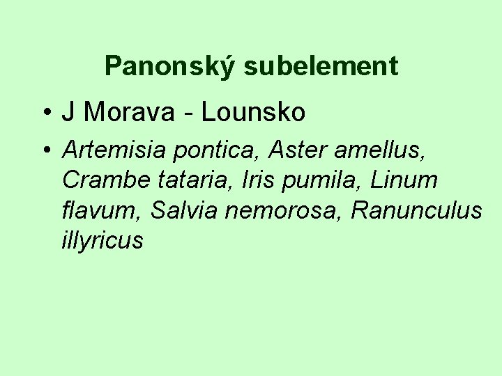 Panonský subelement • J Morava - Lounsko • Artemisia pontica, Aster amellus, Crambe tataria,